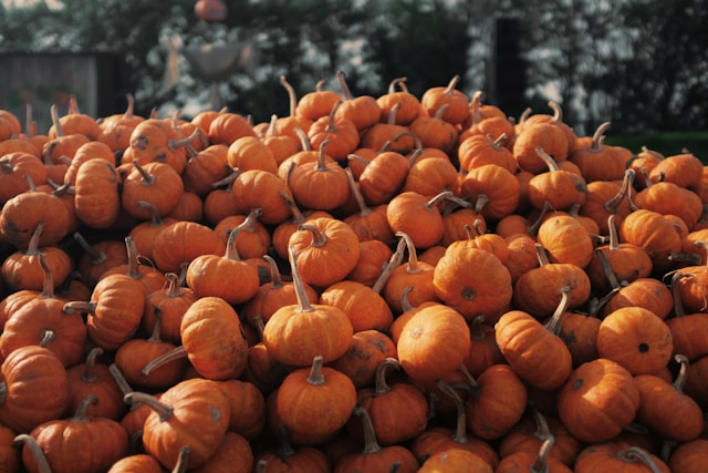 Fresh Pumpkin 1kg