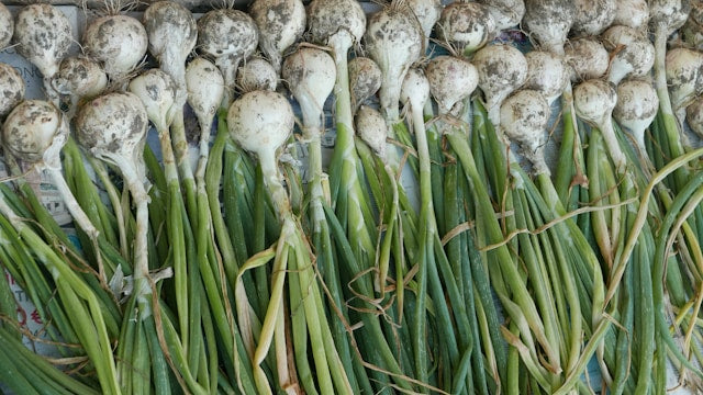 Fresh Garlic 250g