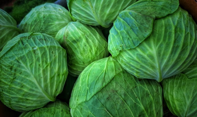 Fresh Cabbage 1pc