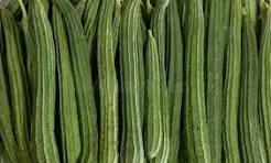 Fresh Ridge Gourd 500g