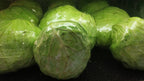 Fresh Cabbage 1pc