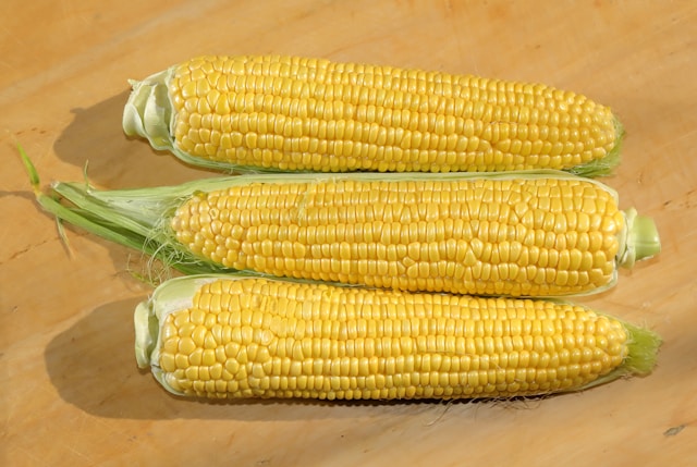 Fresh Sweet Corn 2pcs