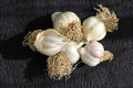 Fresh Garlic 250g