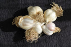 Fresh Garlic 250g