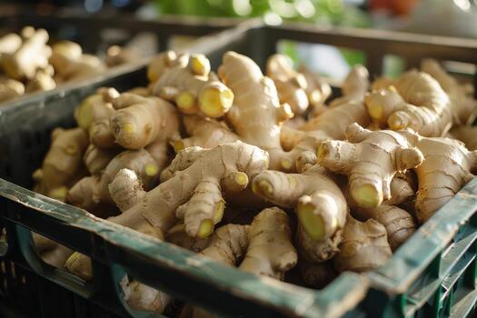 Fresh Ginger 200g