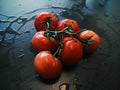 Fresh Tomatoes 500g